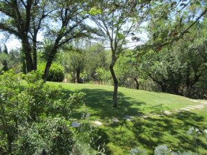 Tuscany, villa, rental, farmhouse, country house, big pool, gourmet kitchen, very quiet, private, peaceful, upscale, well furnished, family friendly, kid friendly, great for friends, best food, garden, restaurants, pasta, cooking, steak, grill, pizza oven, day trips, romantic, sunflowers