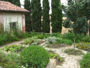 vegetable garden